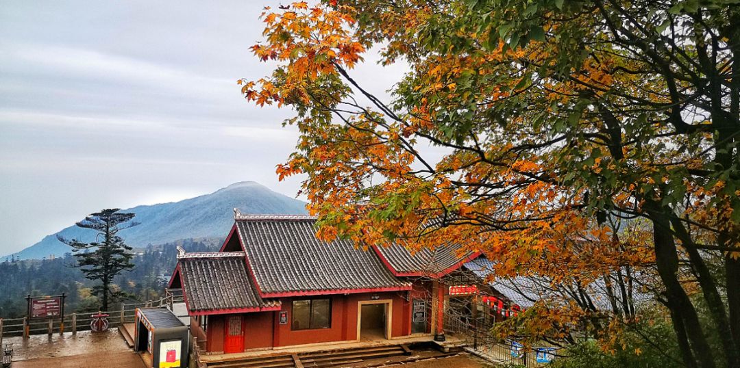 来四川看秋景,不可错过的网红仙山_峨眉