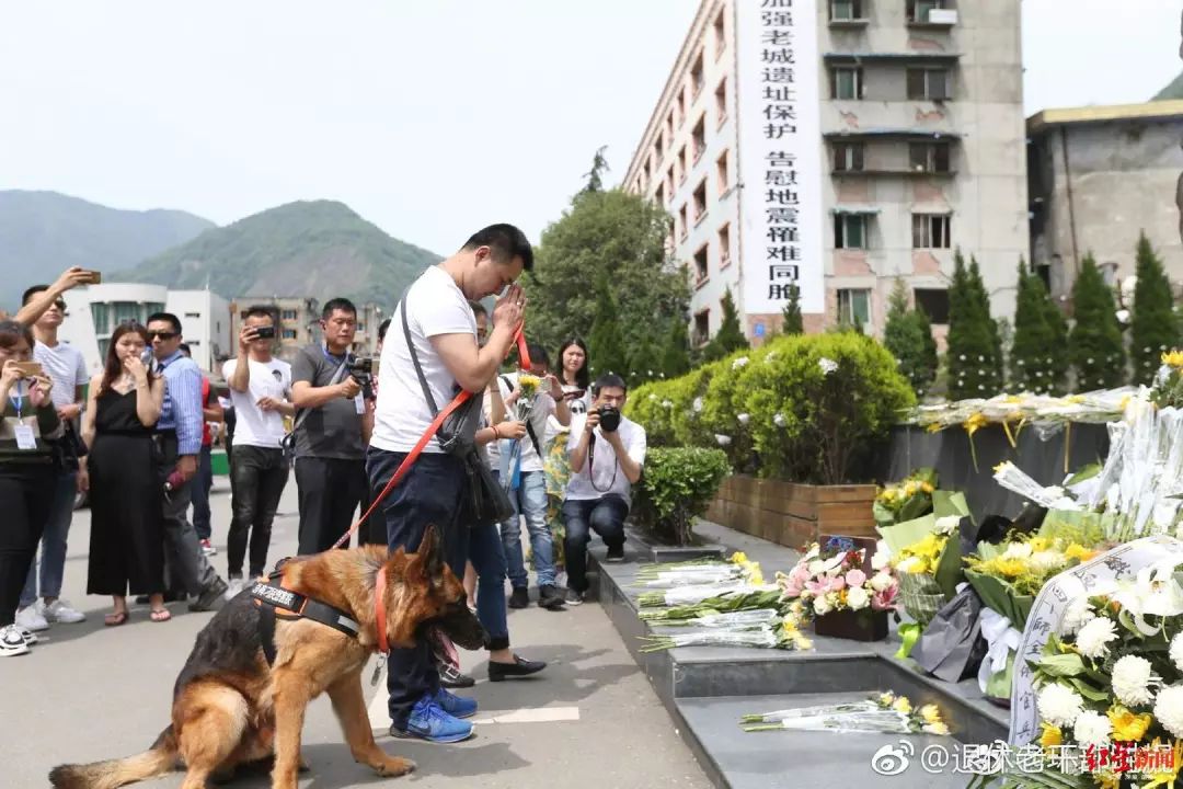 可是就算沈鹏再无微不至,依然抵不过衰老的侵蚀,"高龄"的沈虎一身职业