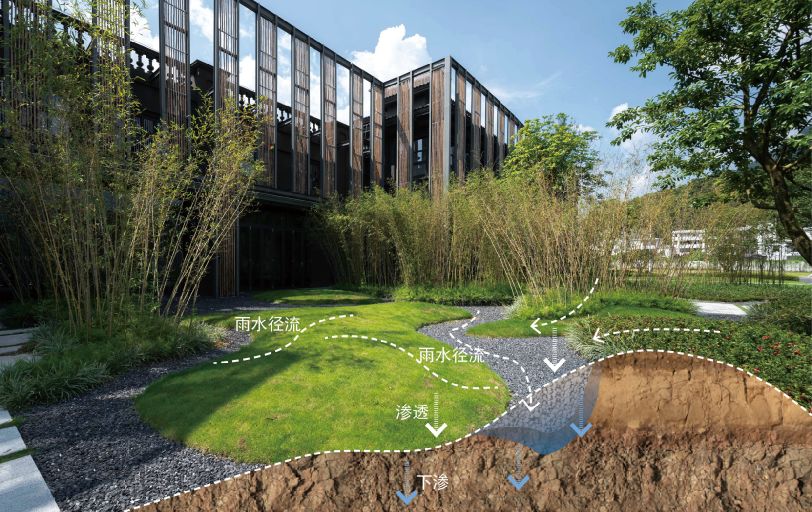 场地设计利用绿化缓坡收集净化雨水,建立植被缓冲带,减少污染;采用