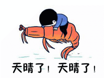 336_253gif 动态图 动图