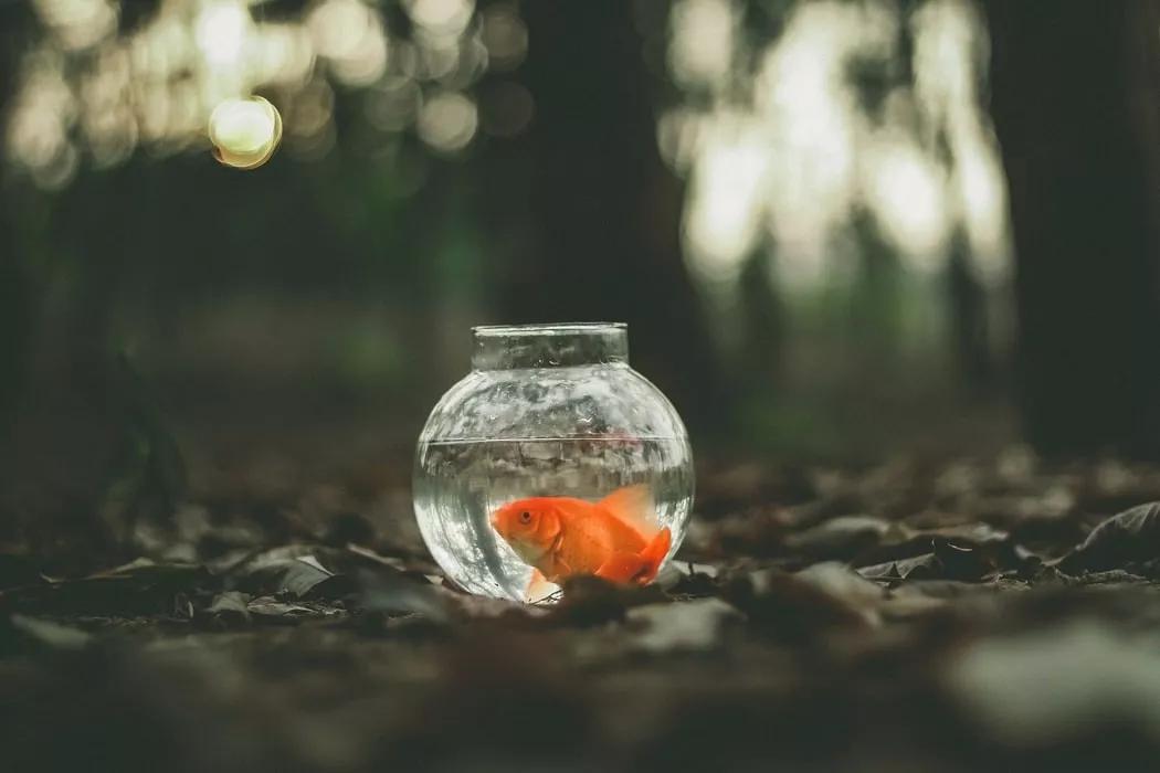 1 心酸,一个人尝 很多人以为,所谓人生,不过就是择一人所爱,择一城