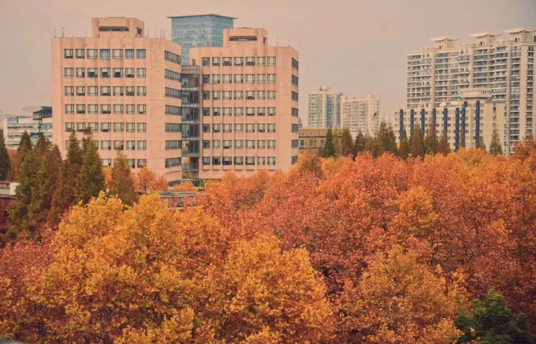 华东师范大学