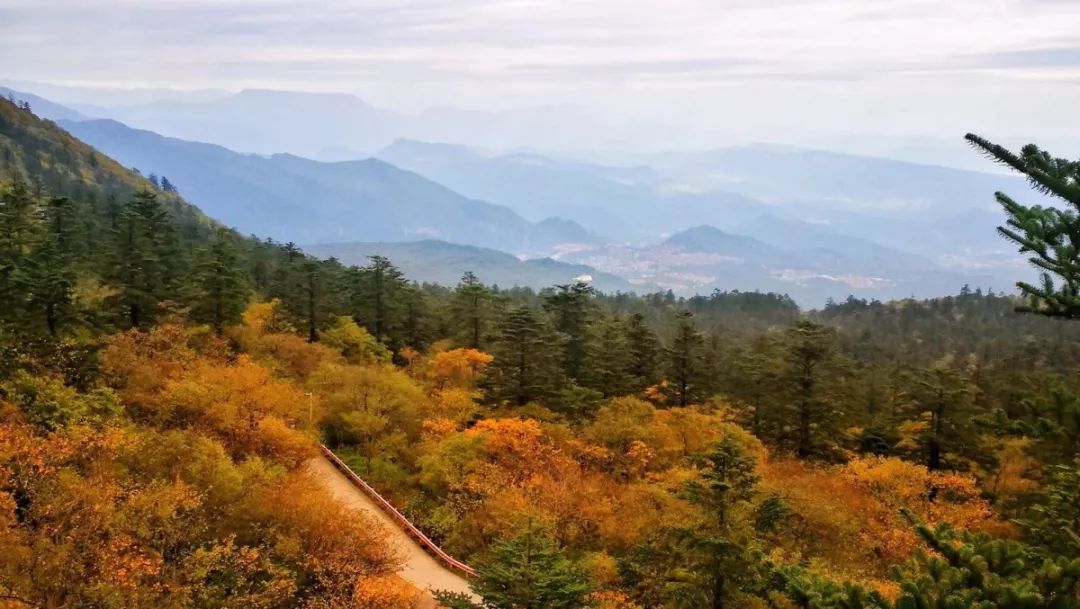 来四川看秋景,不可错过的网红仙山_峨眉