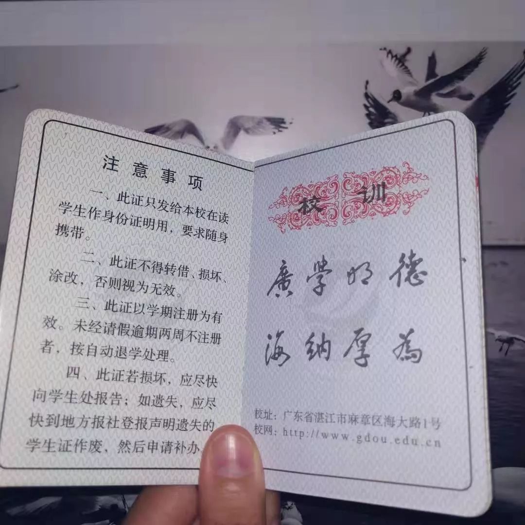 丢了学生证就意味着你