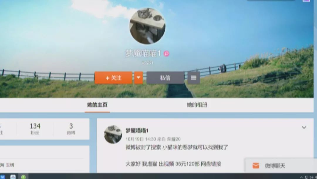 肆意踩踏!用烟头烫!海量虐猫视频在网上竟以3