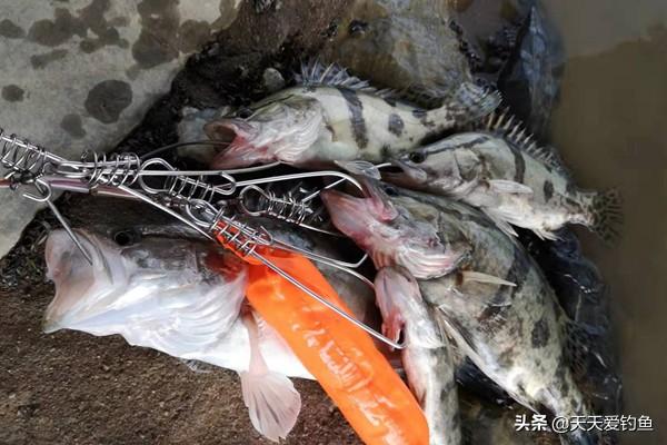 小鱼怎么钓容易上钩 5b6f3a15e2924782be35f836bfaad81c.jpeg