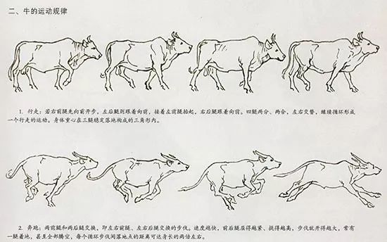 中国国画-花鸟技法-国画牛的画法