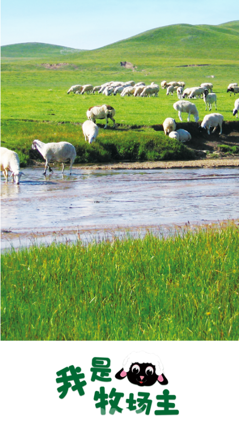 锦沅牧场怎么样让你足不出户做牧场主