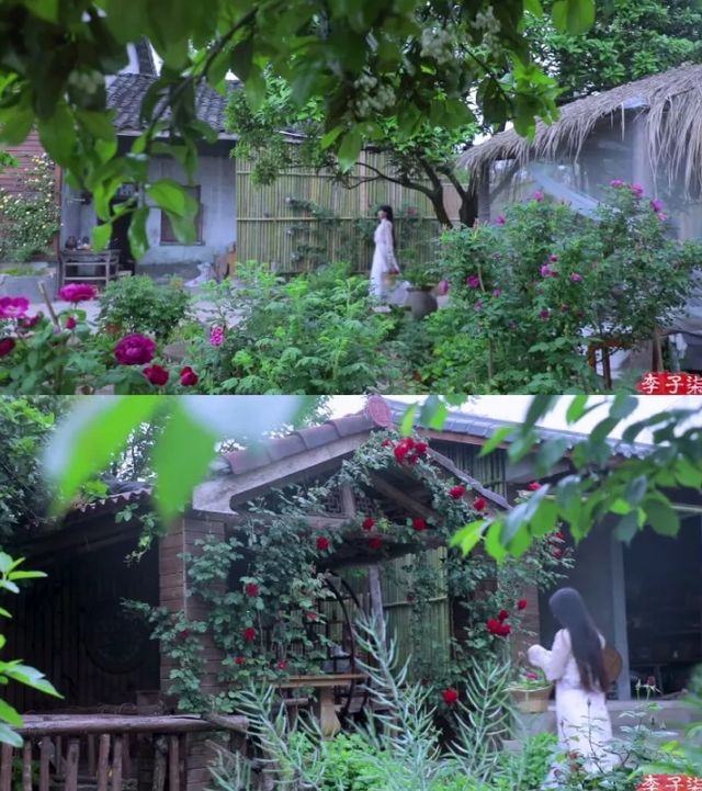 绵阳美食博主李子柒参加国际非遗节 身穿旗袍气质清冷_院子