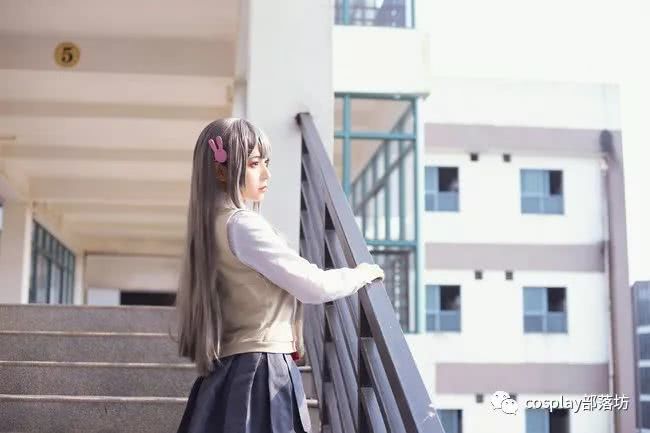 cos:兔女郎学姐 樱岛麻衣