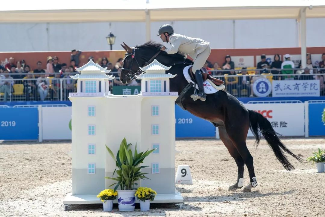 马术项目在武汉商学院首战打响,大批高颜值骑士来袭!