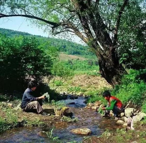 太珍贵了,一组80年代的农村老照片,看完后满满都是回忆