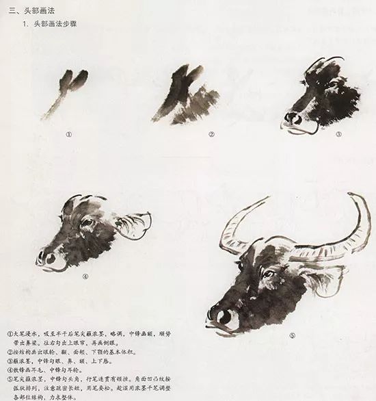 中国国画-花鸟技法-国画牛的 画法(图3)