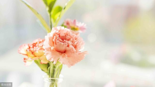 你听过最美的网名是什么?