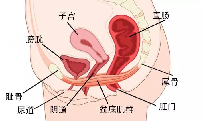 什么肌骨成语_成语故事图片(3)