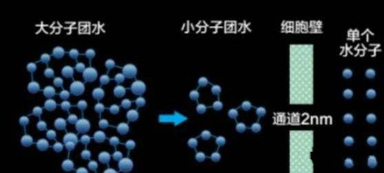 九江天泉生态农业——赐美泉天然含硒小分子水,生命急需的一瓶健康好