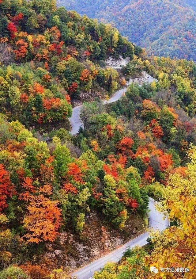 黄花岭最美赏秋自驾游公路