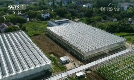黑科技集中亮相勾勒未来生活 5G全覆盖智慧乌镇