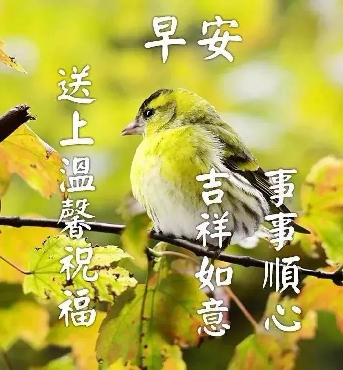 新的一周早上好问候语图片表情大全 早上好祝福表情大图