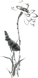 d8ce301eea5b4f55a5c582518f5761a5.png