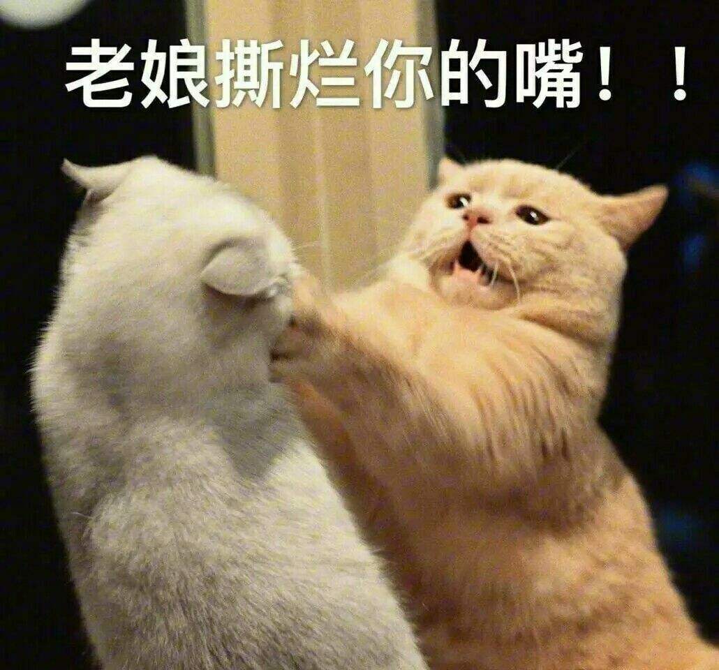 小火龙表情包出处 d911250fadf44a56a21eebdbeaa21a0f.jpeg
