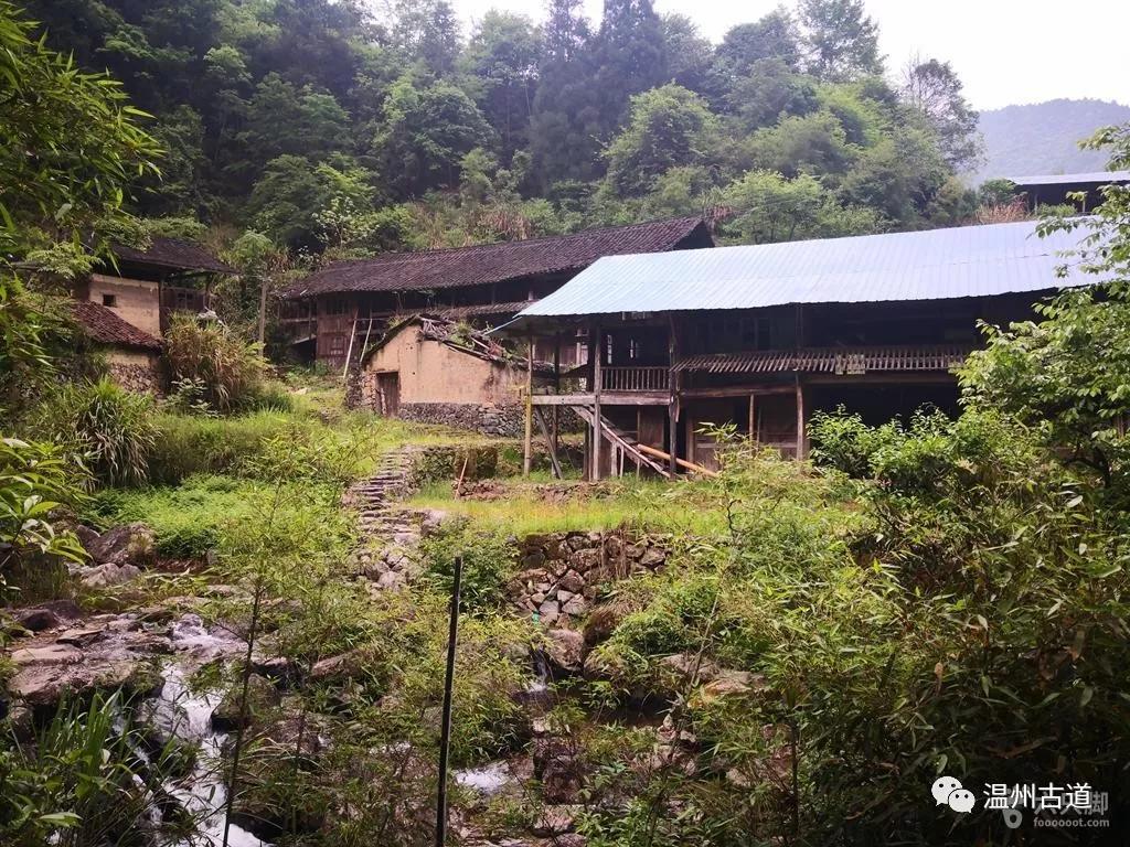 泰顺县有多少人口_我在泰顺刚刚好,何必羡慕北上广 朋友圈都传疯了(3)