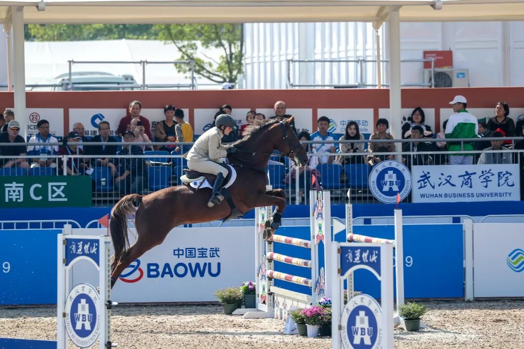 马术项目在武汉商学院首战打响,大批高颜值骑士来袭!