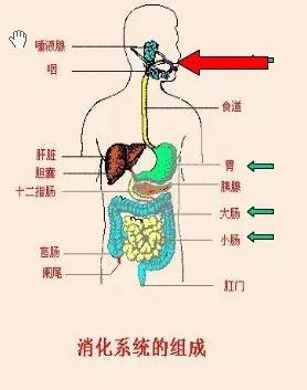 儿康堂@大便像羊屎蛋？这样的孩子，便秘需要特别的爱护！