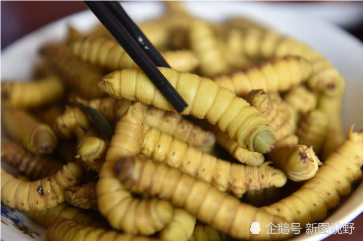 1/ 12 "我们种了100多亩黄豆,几乎全被豆虫吃了.