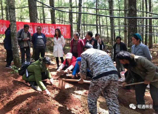 花椒核桃培训会上,云南省林科院方文亮研究员,张雨研究员,段兆尧,文进