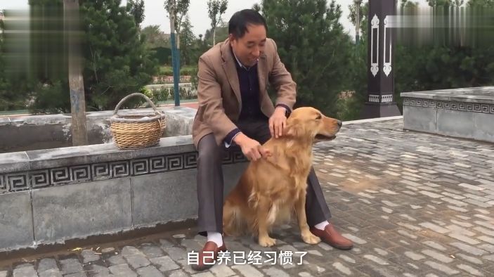 3年前的撿的流浪金毛犬，如今有人花好幾千想買，主人果斷拒絕… 寵物 第4張