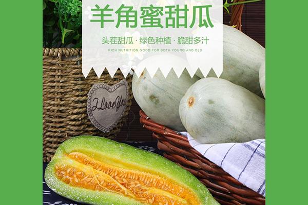 小象优品、新浪分期等持续助农，《农村电商发