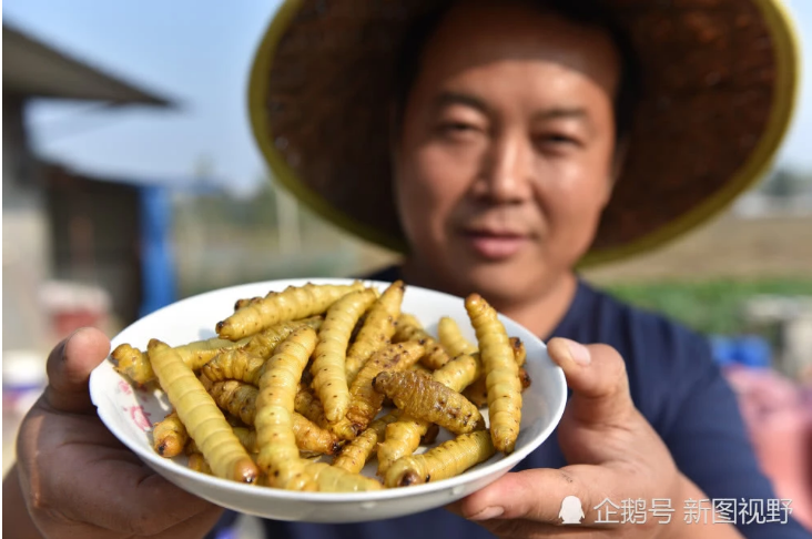 镇前小河村,今年43岁的张安宾端着一盘刚刚做出来的"油炸豆虫"介绍说