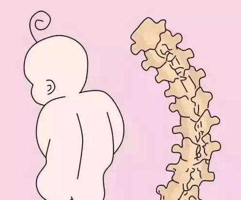 「育婴小天使」新生儿抱不对会脊柱弯曲！正确抱娃方法有哪些？很少有妈妈都抱对