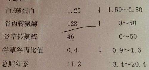 嗜睡简谱_儿歌简谱