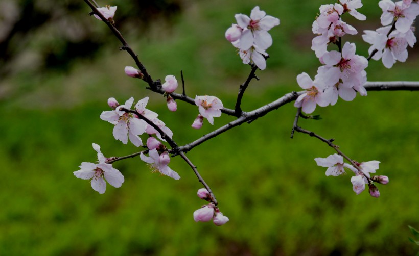 2020꿪ʼͷ,вƾ۲,СǮ಻ϵ