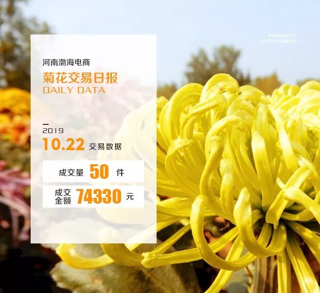 P2C产业电商农产品交易日报191022