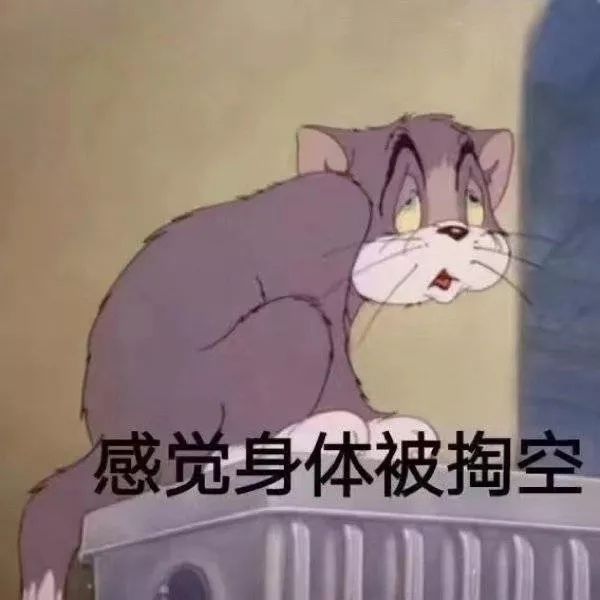 4f086d4e20124d25b6cb2cff2ffb1f81.jpeg