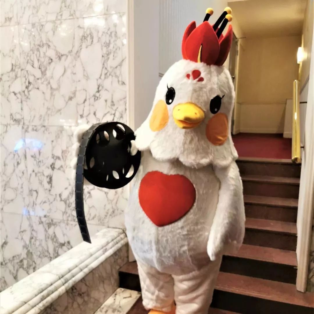 其实挺萌的这个提名，我可以“阿鸡太争气了！”第28届中国金鸡百花电影