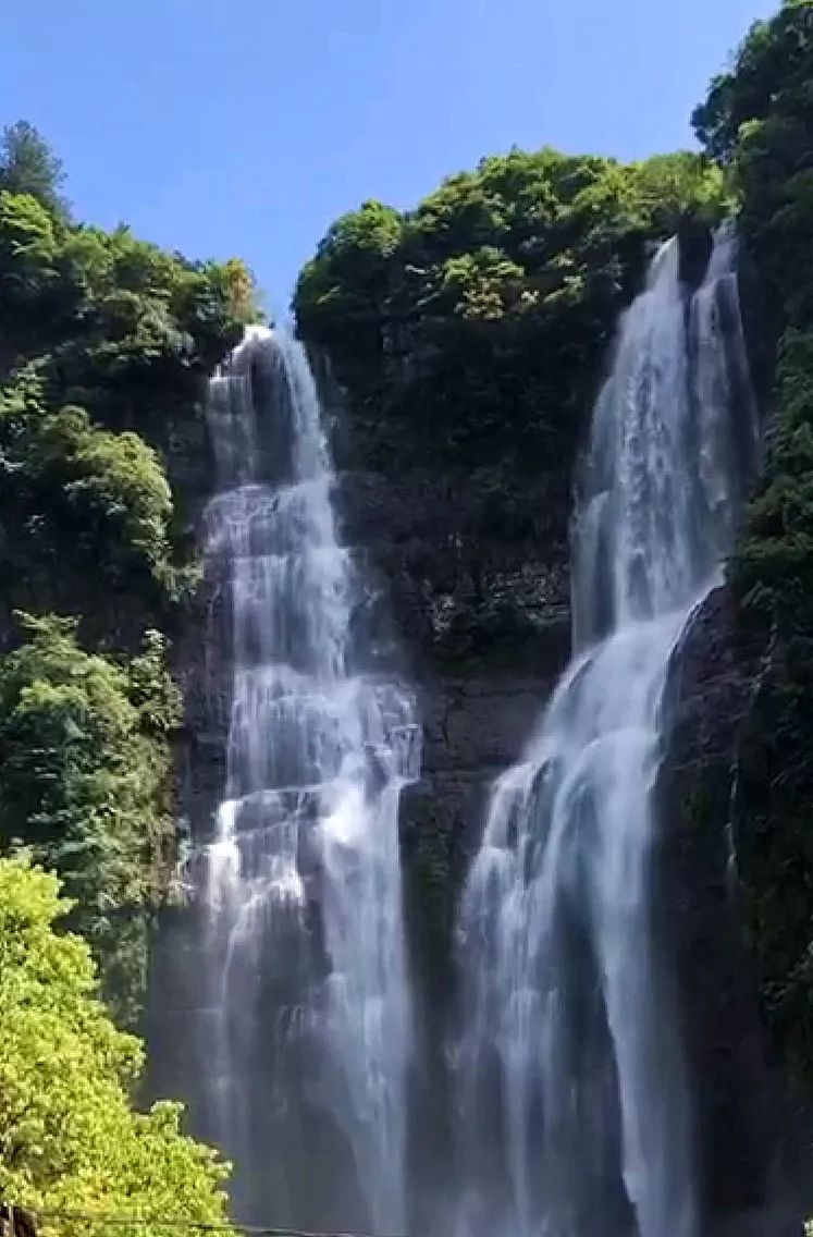 2兄弟在泰顺投资5a景区项目,这些村民还能拿分红!_旅游