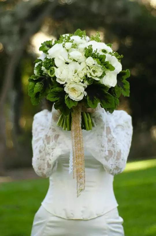 央视美女主持人刘芳菲朗诵林徽因的诗《灵感》