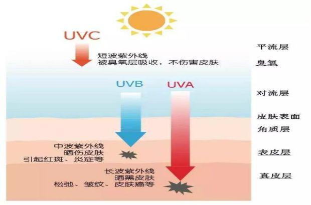 长波紫外线(uva:波长分布于320-400nm,俗称紫外线"晒黑段,穿透力