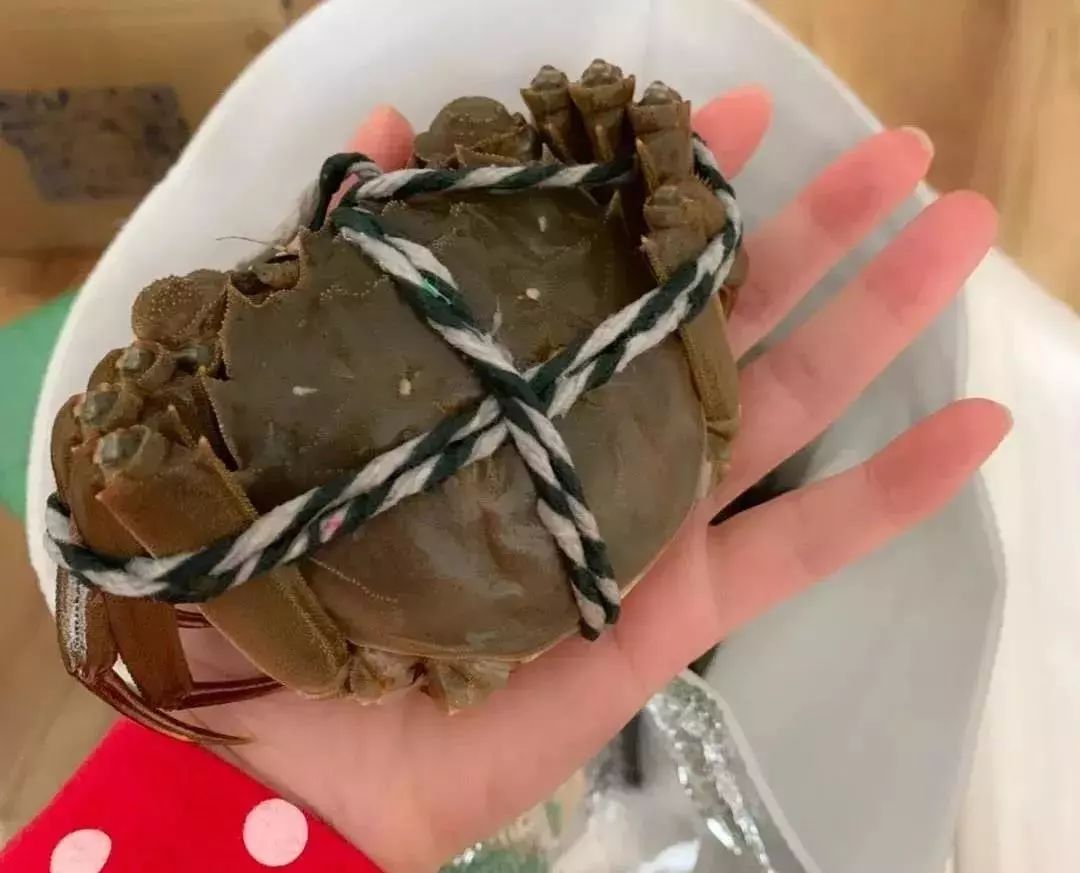 大闸蟹好不好吃
