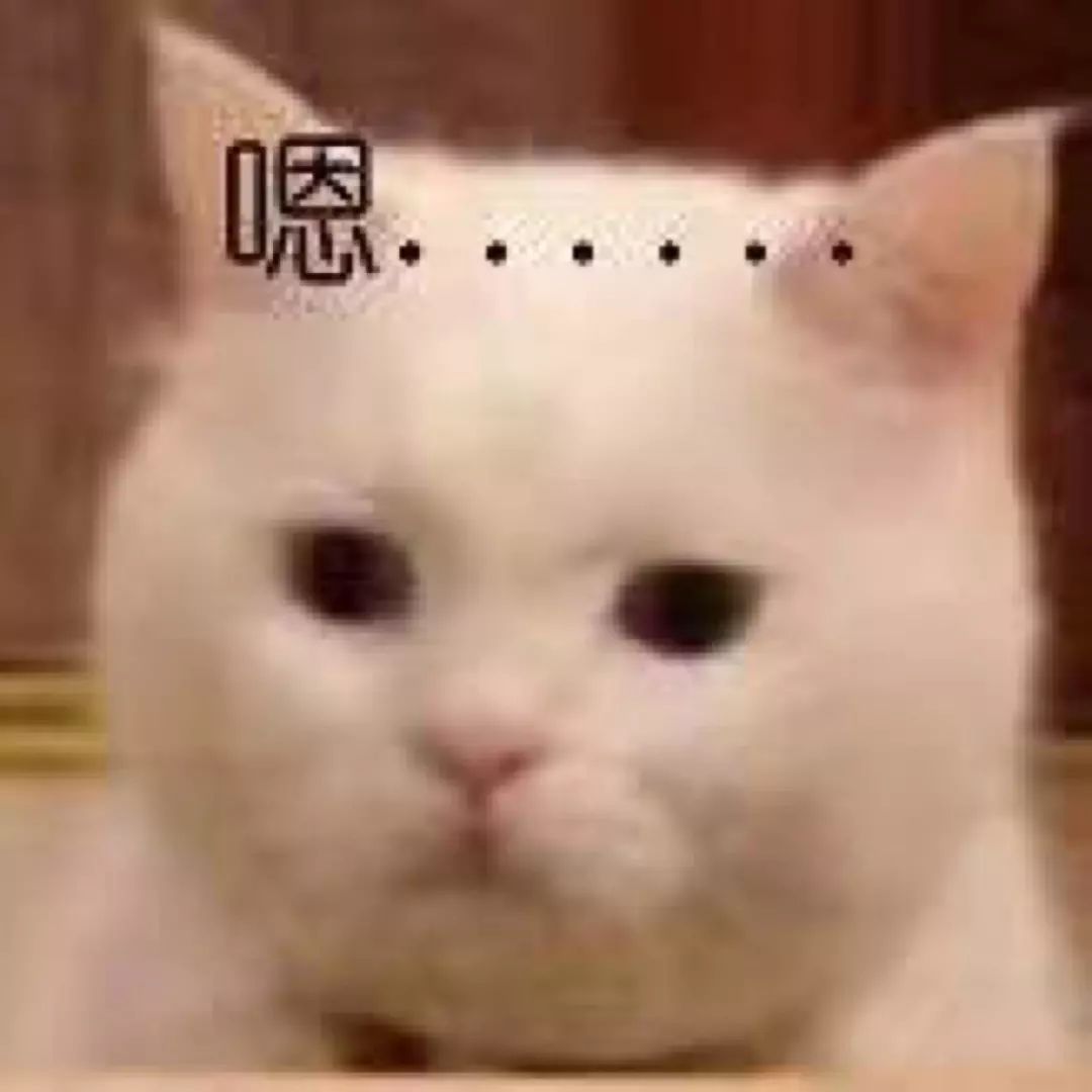 喵不可言大结局什么意思 9568a7b58cb6463abefd5adce522db21.jpeg