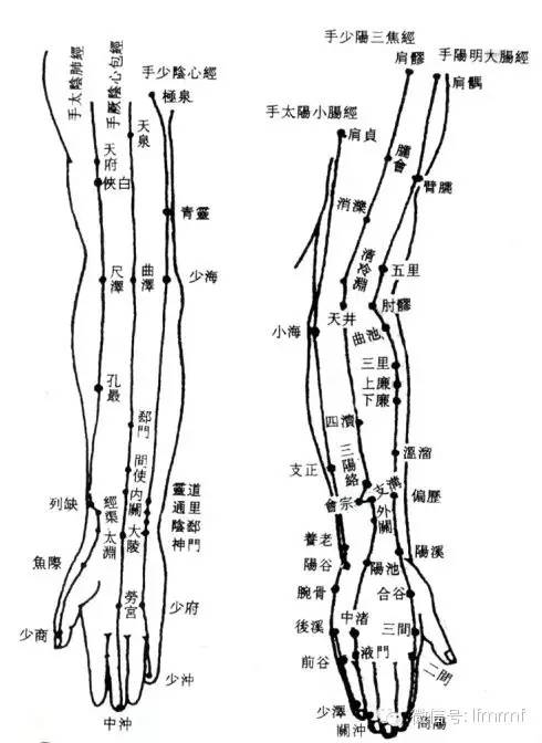 心经:【疗效】经常疏通心经,按压小指尖端有利心脏健康,胸闷,心慌