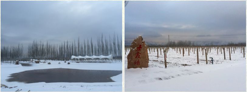 乌海景点排行榜_蒙古族家具博物馆天气预报乌海蒙古族家具博物馆天气预报3天、...