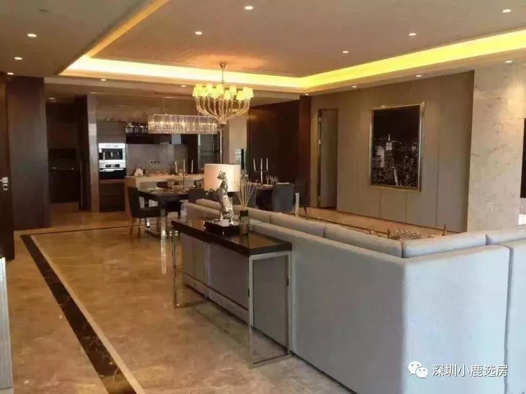 深圳湾壹号，仅为全球顶豪圈层定制的珍藏品（下）_湾区