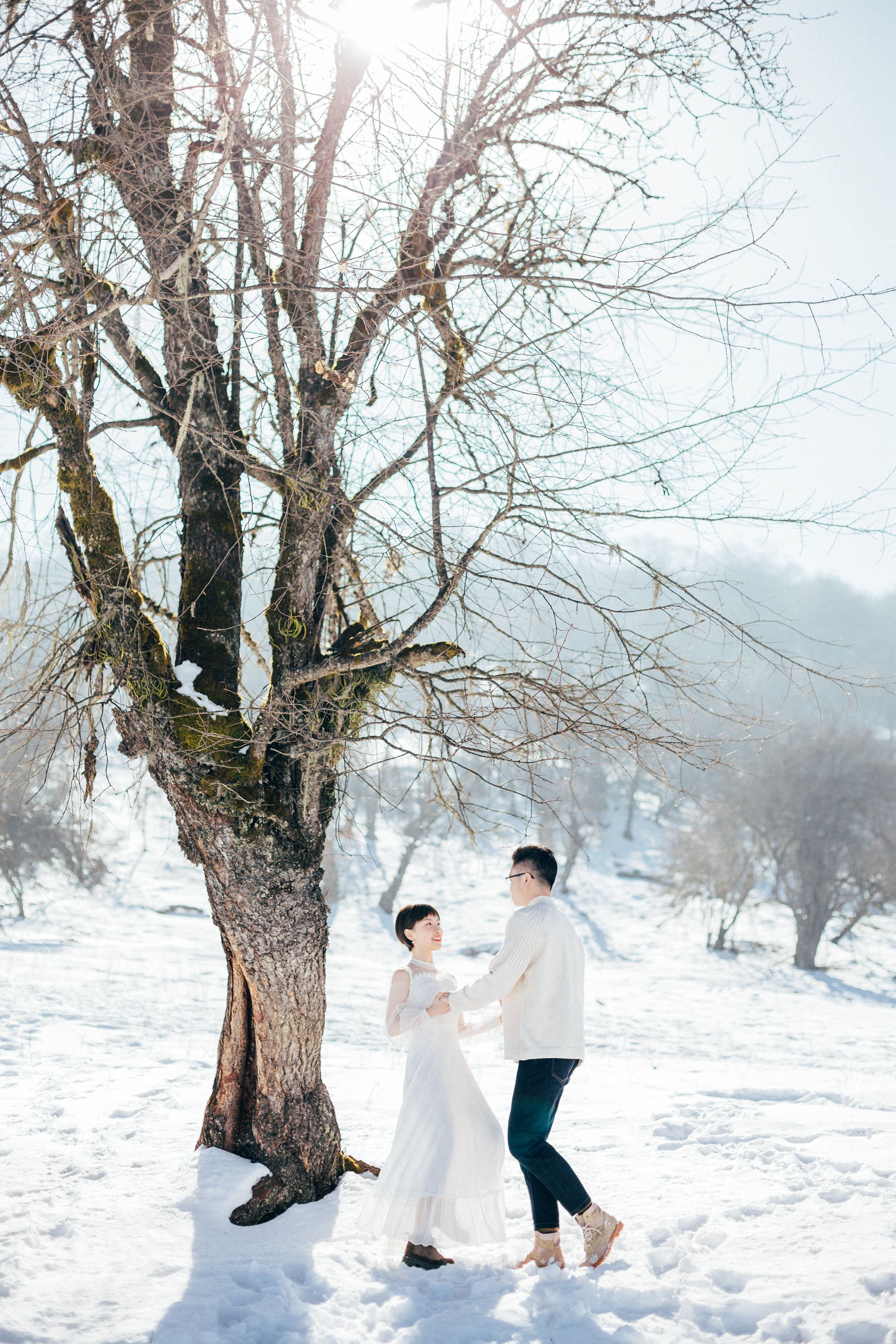 婚纱照雪景_冬天雪景图片(3)