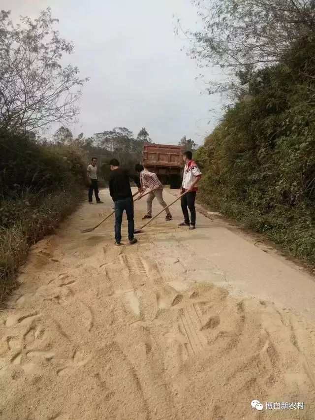 今天,在博白沙陂镇荣飘村公路上,出现一幕让人激动的画面.