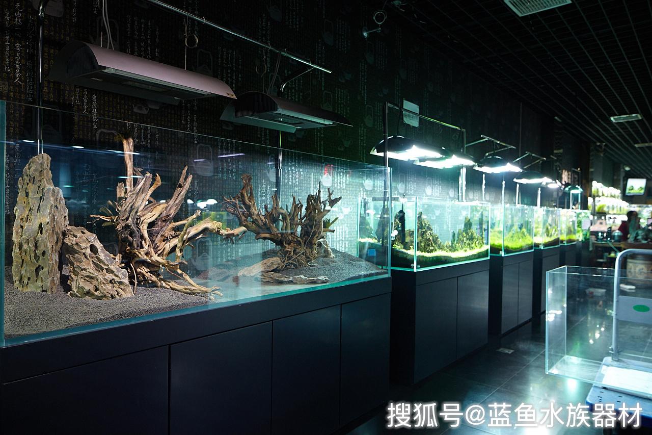 过滤阀怎么用